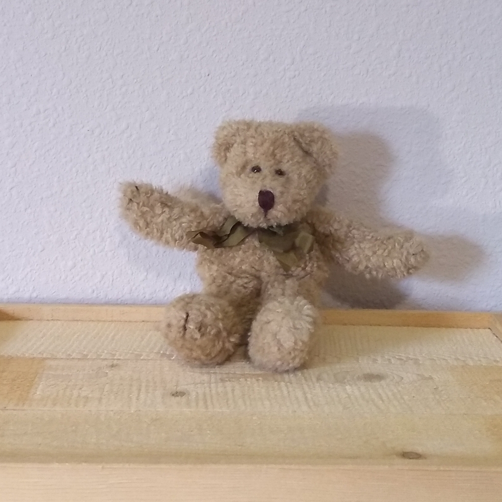 The Boyds Collection Small Teddy Bear.